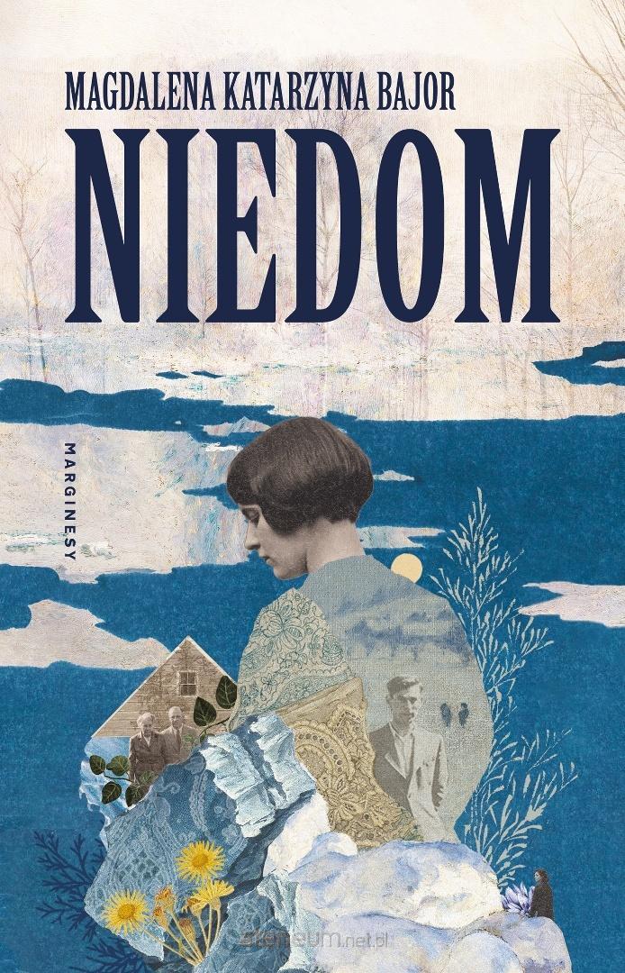 Okładka: Niedom — Magdalena Katarzyna Bajor